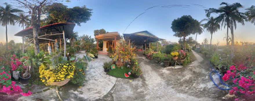Trúc Lâm Tịnh Quang