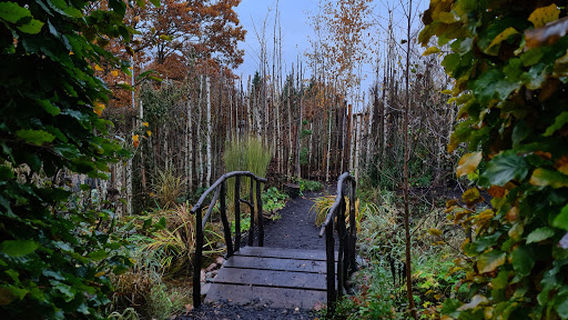 Idea Gardens - Theme Gardens