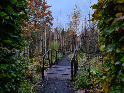 Idea Gardens - Theme Gardens