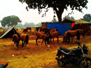 Takiya Mela Ground
