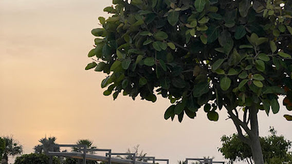 Al Marjan Island Playground