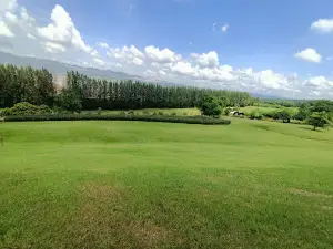Botanic Garden