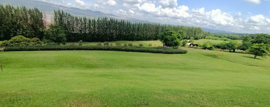 Botanic Garden