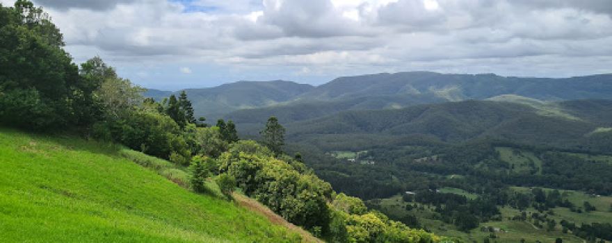 Rosin's Lookout