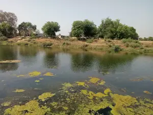 Gollan Mata Mandir Rolgaon