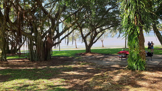 Mooroobool