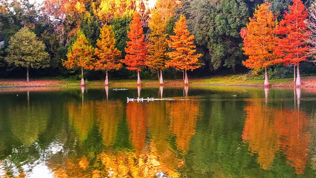 Dr. Charles L. Evans Pond Park