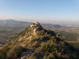 Campo de Fútbol La Murta
