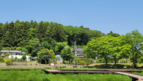 Tagajo Castle Site Ayame Garden