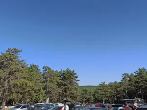 Macera Park Çamlıdere