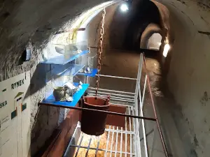 Chełm Chalk Tunnels