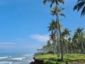 Panjang Beach Bengkulu