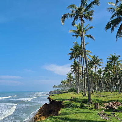 Panjang Beach Bengkulu
