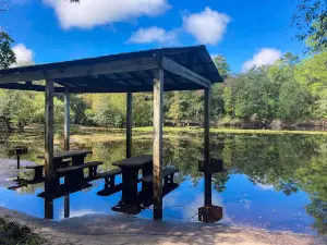 Chastain-Seay Park (Town Of Worthington Springs)