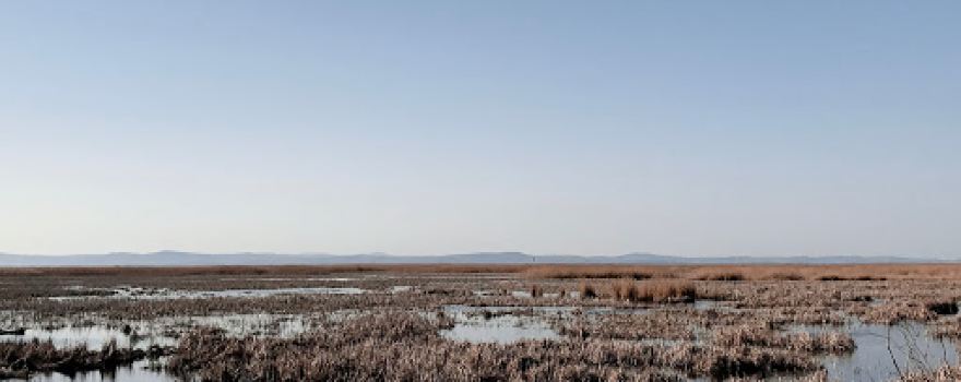 Ekopark "Kartal"