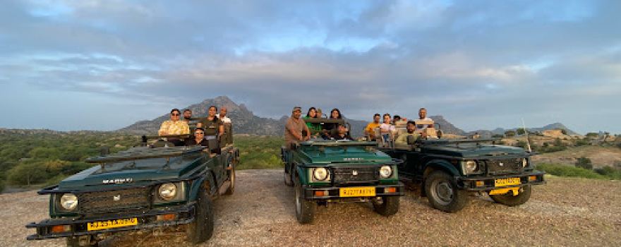 Jawai bera panther safari
