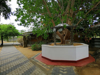 Shiva Skandha Kumara Kale Devalaya