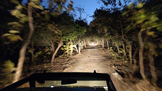 GIRNAR NATURE SAFARI