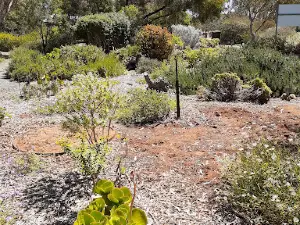 Walpeup Dryland Garden