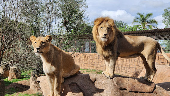 Polokwane Snake & Reptile Park