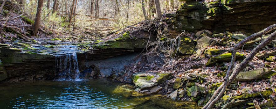 Stony Hills Nature Preserve