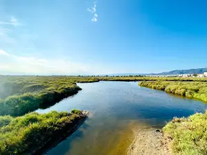 Aiguamolls de l'Empordà