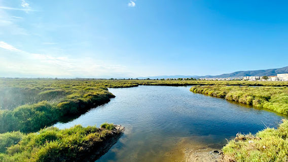 Aiguamolls de l'Empordà