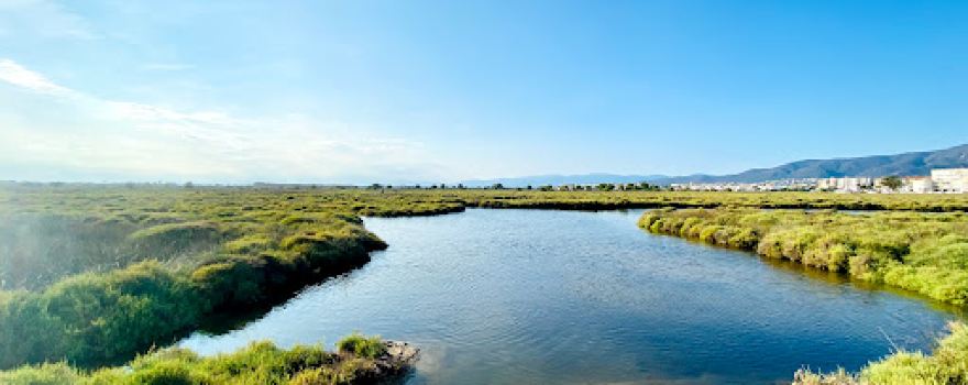 Aiguamolls de l'Empordà