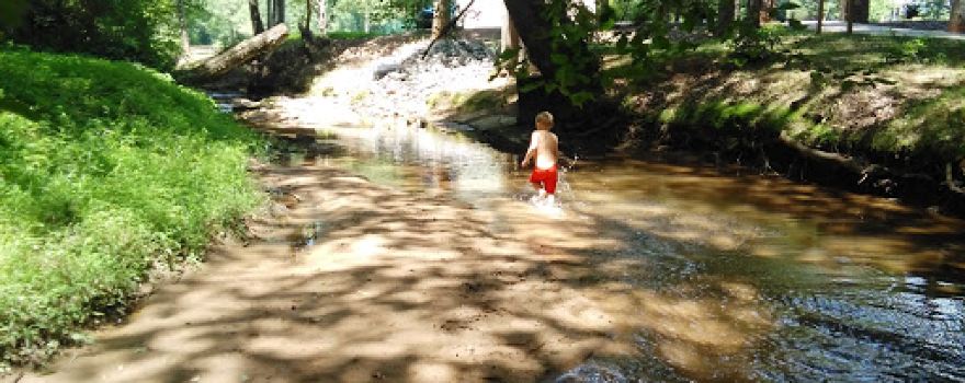 Ashley Dearing Park