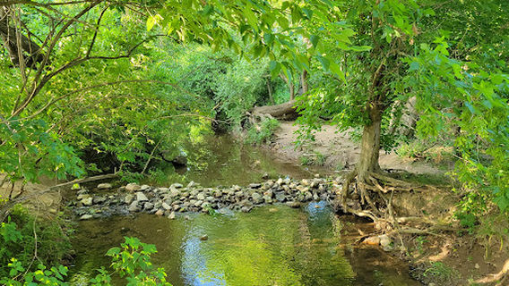 Meadowood Regional Park