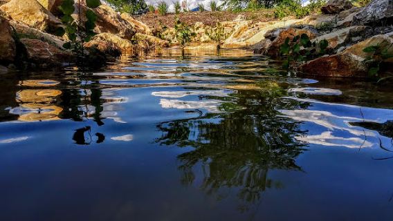 Robert Shryock Park