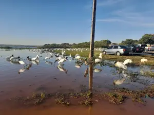 desembarcador da praia de Cardoso
