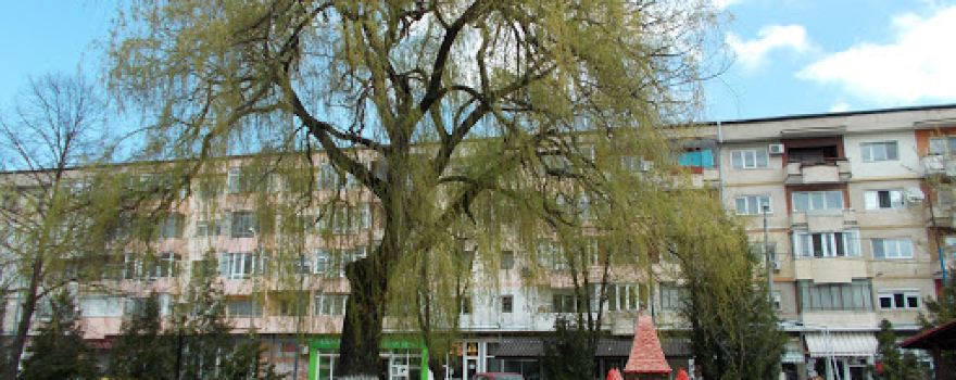 Castel Parc