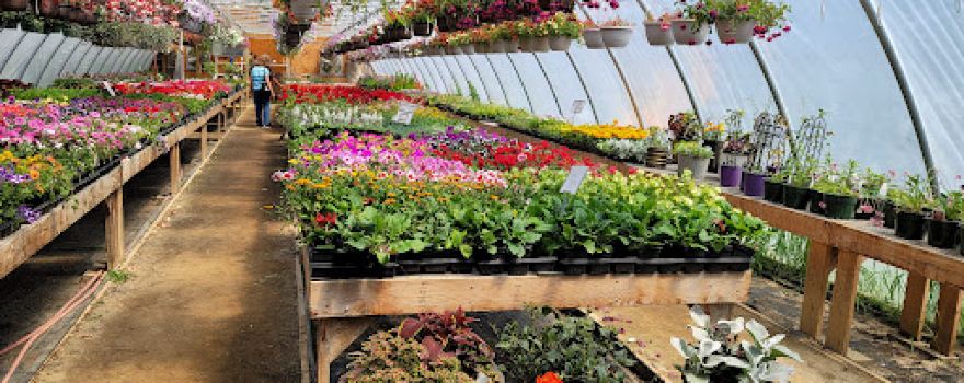 Country Road Greenhouse