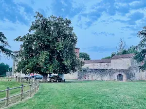 château de Rogé