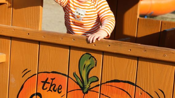 Great Pumpkin Farm