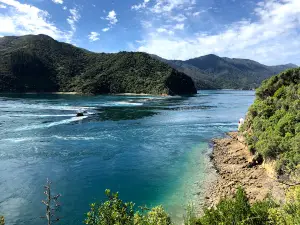French Pass Lookout