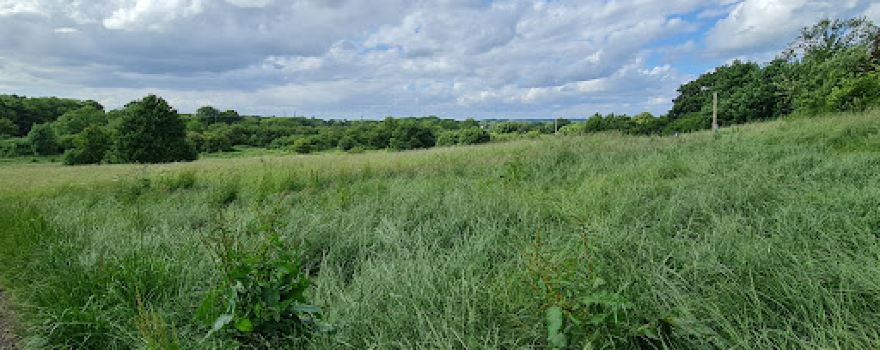 Studley Nature Reserve