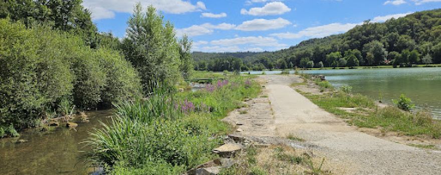 LOT OF SPORTS LAC VERT CATUS