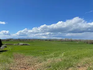 Gallikos