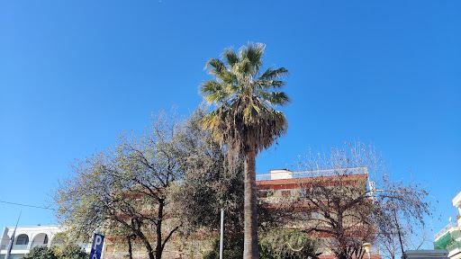 Kilkis Square, Arta