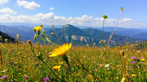 Up Towards the Sun Ecotrail