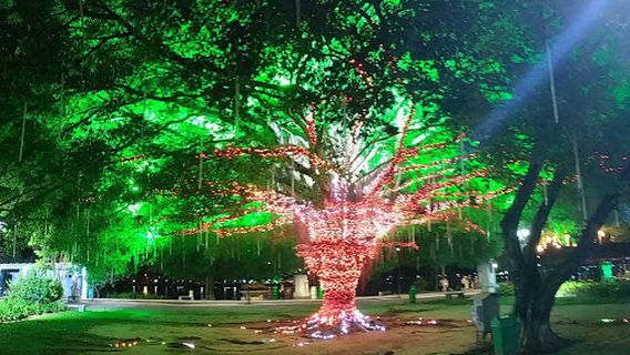 Hue Night Walking Street