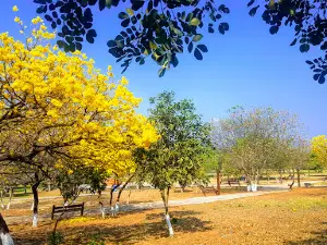 La Pauroca Ecological Park