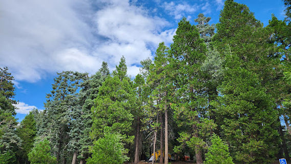 Lake Arrowhead