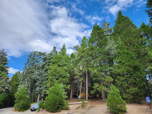 Dogwood Family Campground