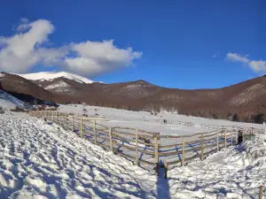 Prato di Campoli