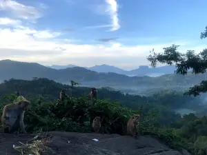 Kadugannawa Rock View and Rest Area