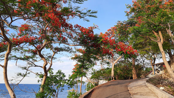 Kupang