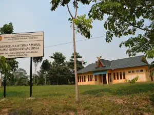 Tesso Nilo National Park